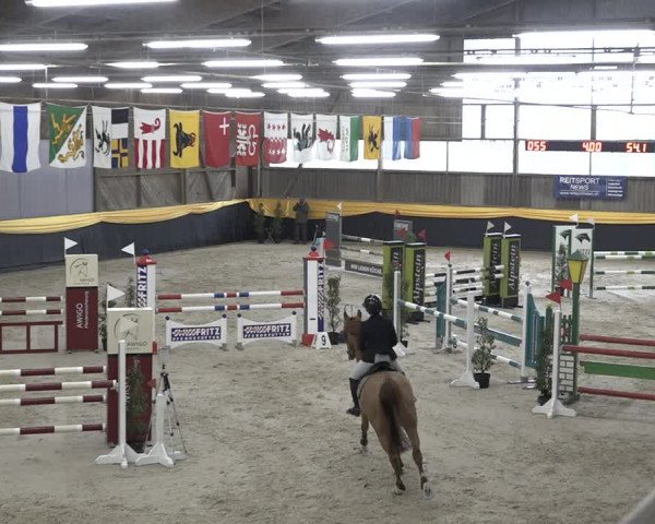 Reitturnier Erlen 2024