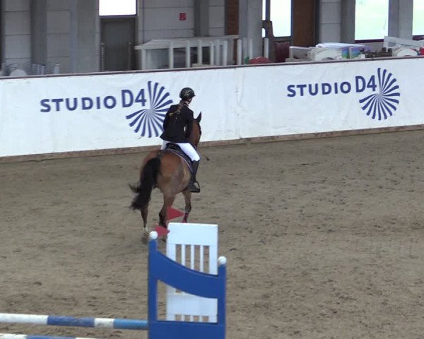 Reitturnier Prussendorf 2024