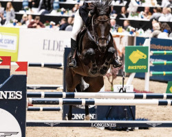 jumper Jackson F (KWPN (Royal Dutch Sporthorse), 2014, from Kannan)