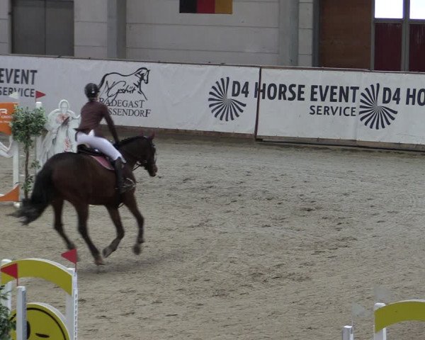 Reitturnier Prussendorf 2024