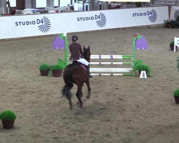 Reitturnier Prussendorf 2024