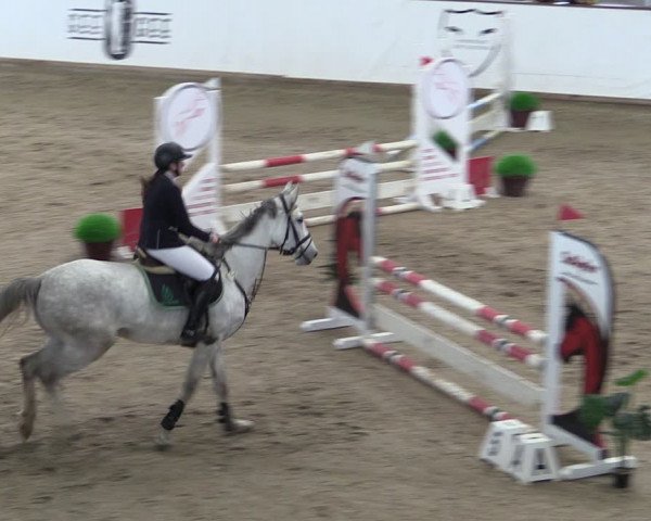 Reitturnier Prussendorf 2024