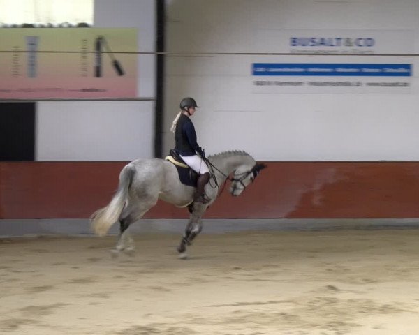 Reitturnier Viernheim 2024