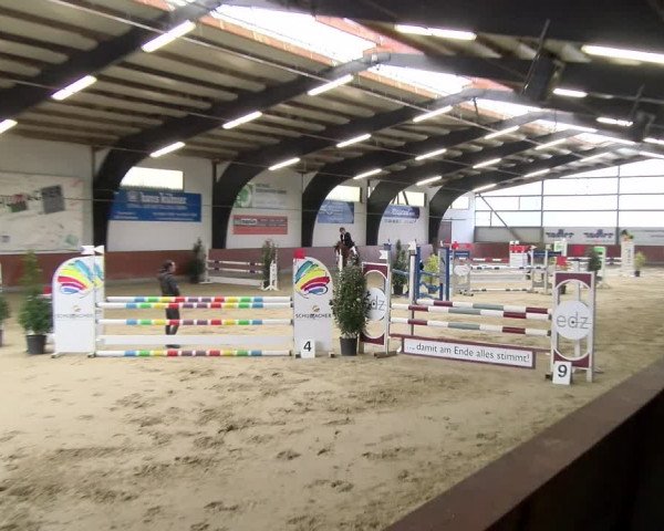 Reitturnier Viernheim 2024