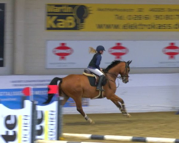 Reitturnier Borken 2024