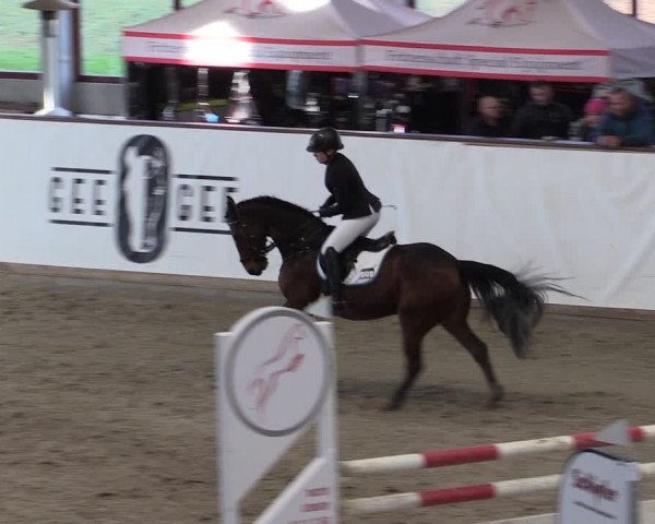 Reitturnier Prussendorf 2024