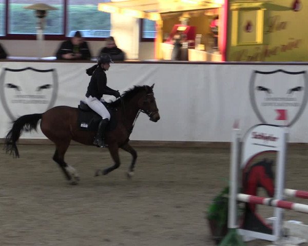 Reitturnier Prussendorf 2024