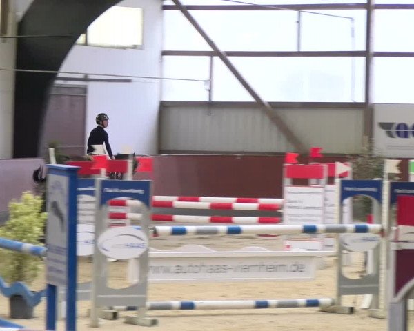 Reitturnier Viernheim 2024