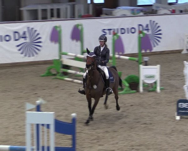 Reitturnier Prussendorf 2024