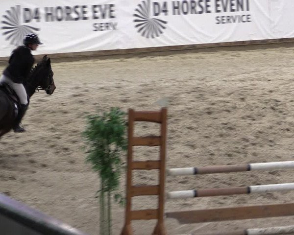 Reitturnier Prussendorf 2024