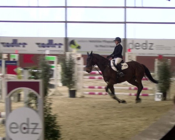 Reitturnier Viernheim 2024