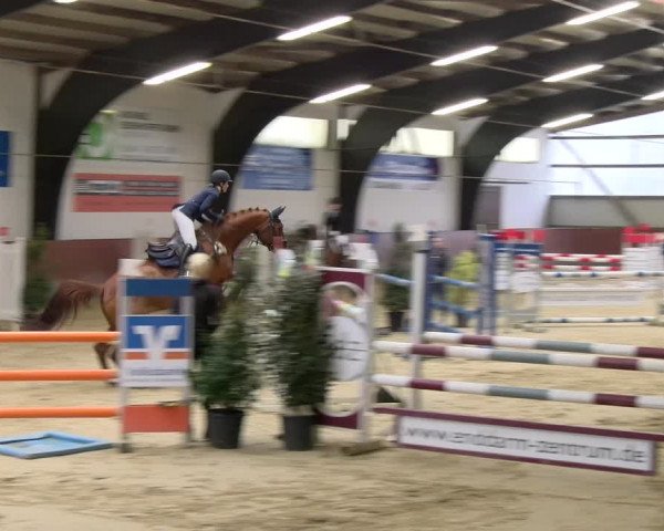 Reitturnier Viernheim 2024