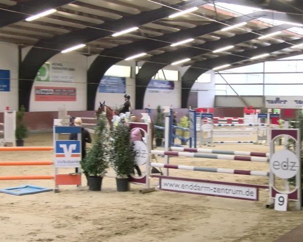 Reitturnier Viernheim 2024