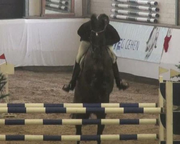 Marl 2010