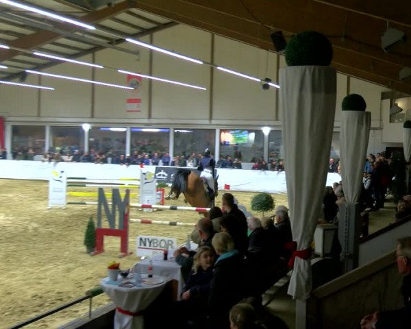 Reitturnier Borken 2024