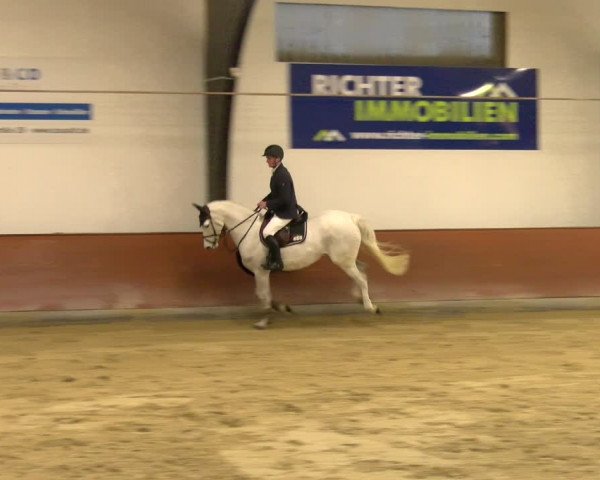 Reitturnier Viernheim 2024