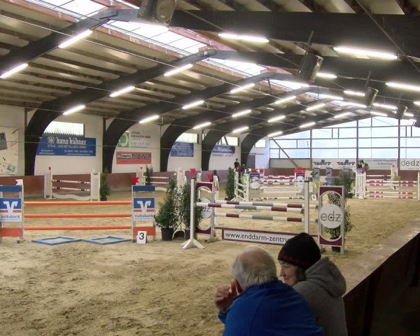 Reitturnier Viernheim 2024