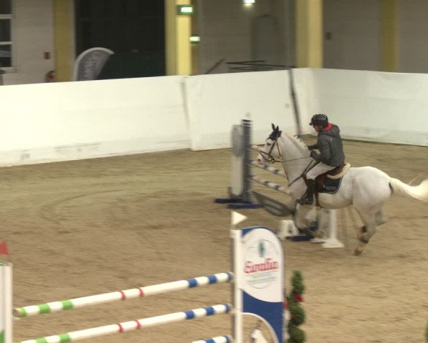 Reitturnier Stadl-Paura 2024