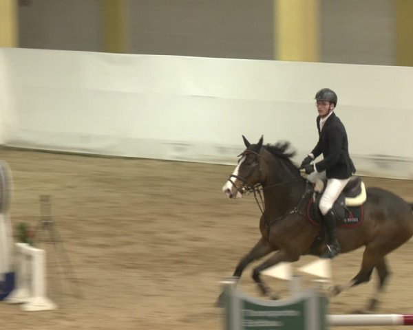 Reitturnier Stadl-Paura 2024