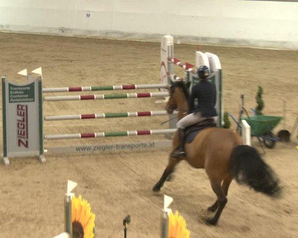 Reitturnier Stadl-Paura 2024