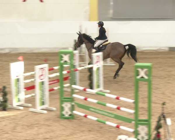 Reitturnier Stadl-Paura 2024