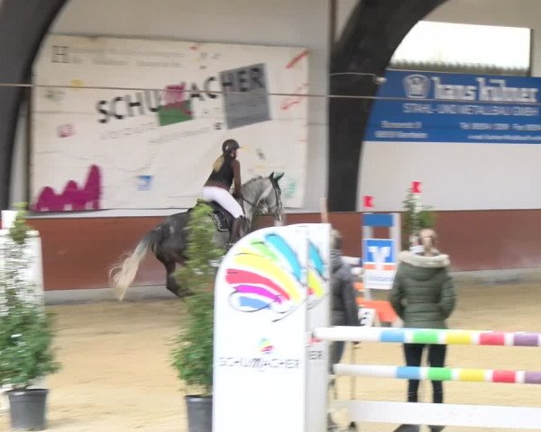 Reitturnier Viernheim 2024