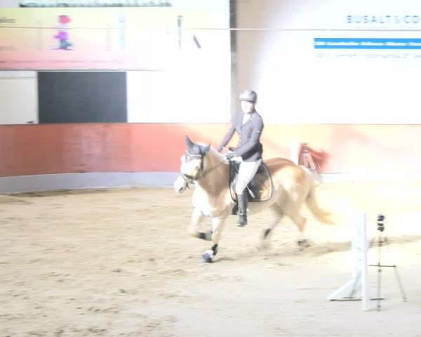 Reitturnier Viernheim 2024