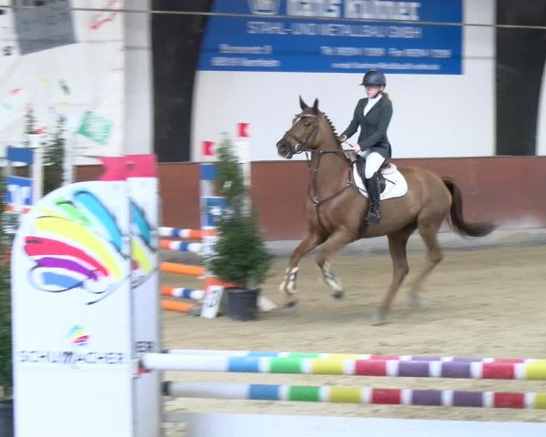 Reitturnier Viernheim 2024