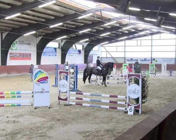 Reitturnier Viernheim 2024