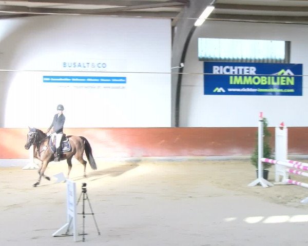 Reitturnier Viernheim 2024