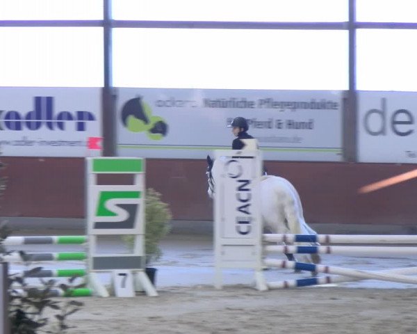 Reitturnier Viernheim 2024