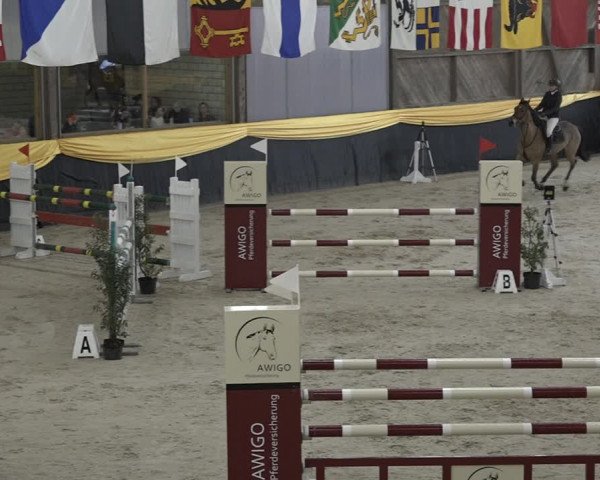 Reitturnier Erlen 2024