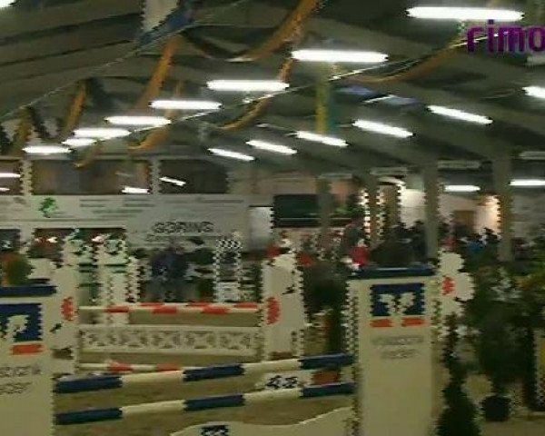 Vreden 2011