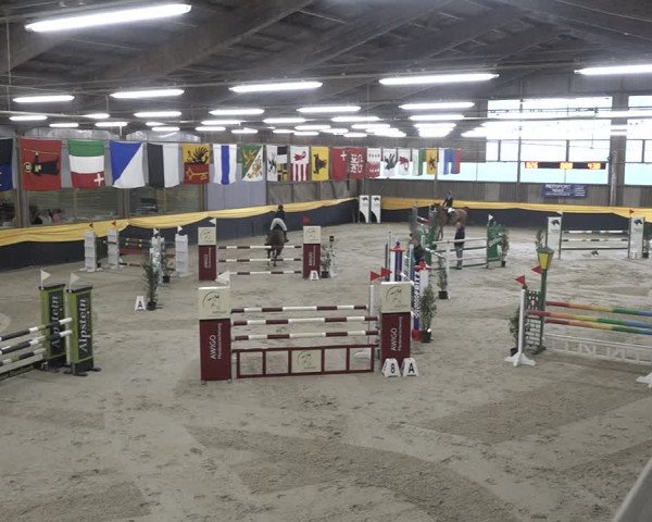 Reitturnier Erlen 2024