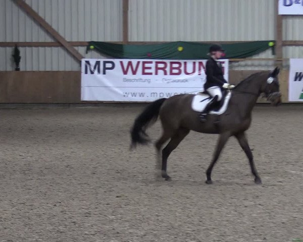 Reitturnier Hesel 2024