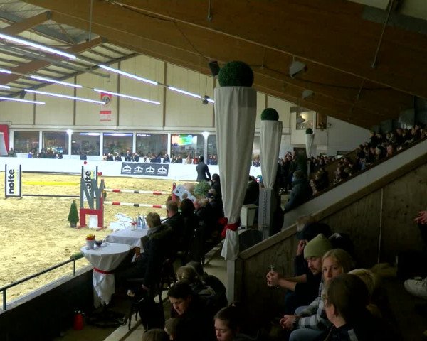 Reitturnier Borken 2024
