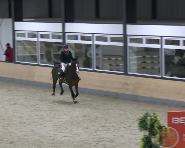 Reitturnier Borken 2024