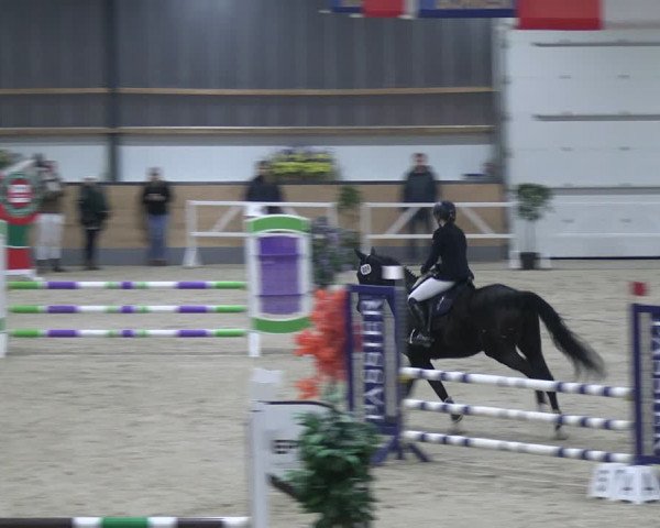 Reitturnier Borken 2024