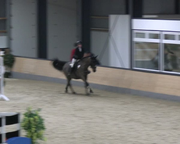 Reitturnier Borken 2024