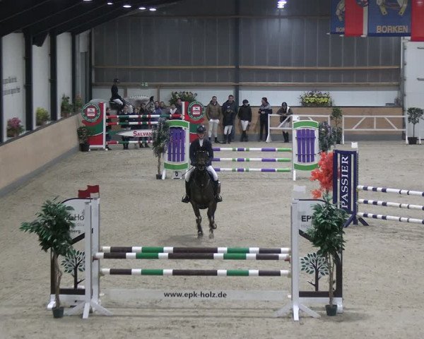 Reitturnier Borken 2024