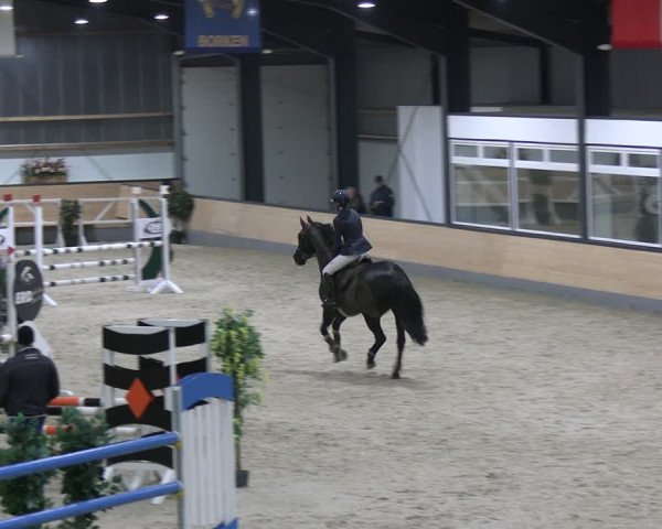 Reitturnier Borken 2024