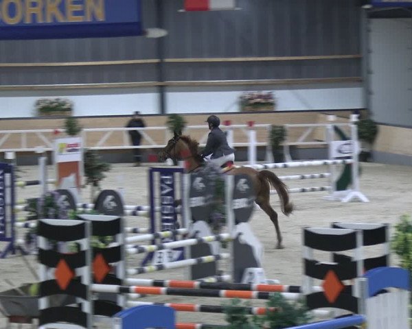 Reitturnier Borken 2024
