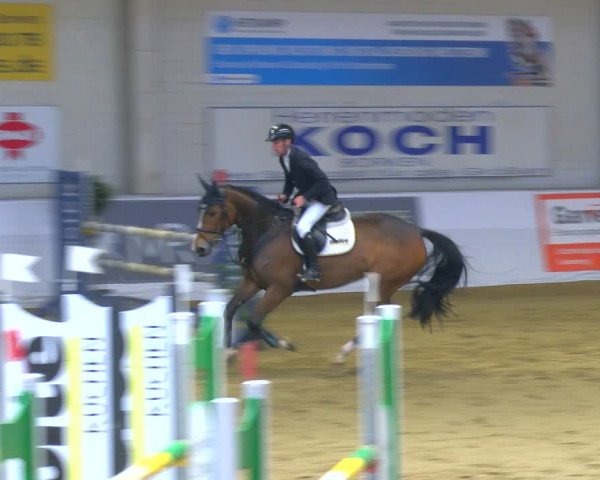 Reitturnier Borken 2024