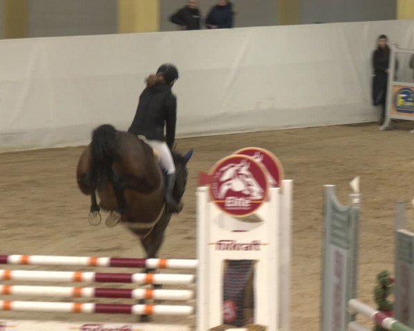 Reitturnier Stadl-Paura 2024