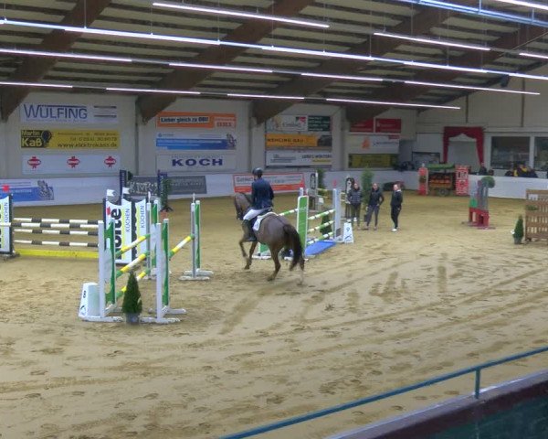 Reitturnier Borken 2024