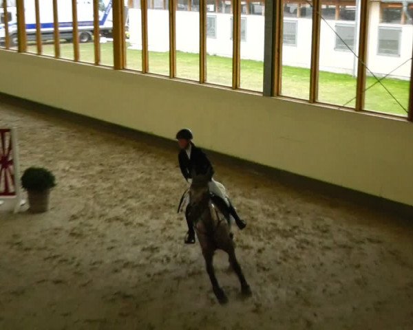 Reitturnier Fleesensee Classic´s 2024