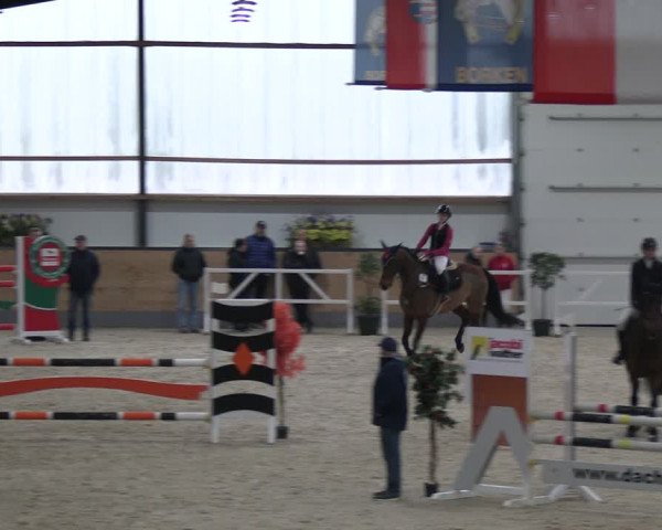 Reitturnier Borken 2024