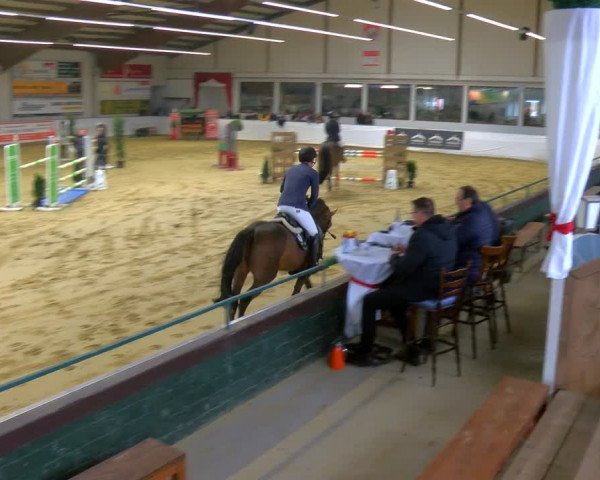 Reitturnier Borken 2024