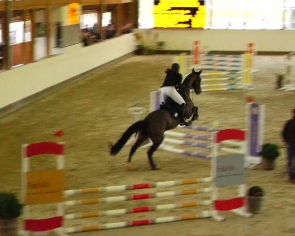 Reitturnier Fleesensee Classic´s 2024