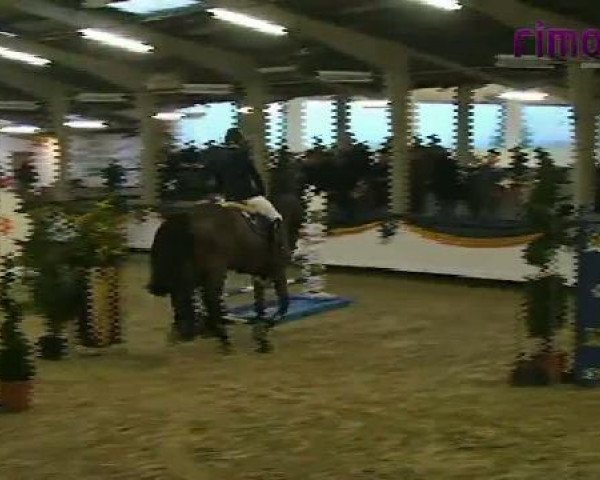 Vreden 2011